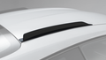 992 GT3RS carbon roof fin