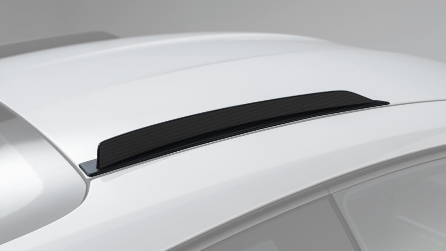 992 GT3RS carbon roof fin